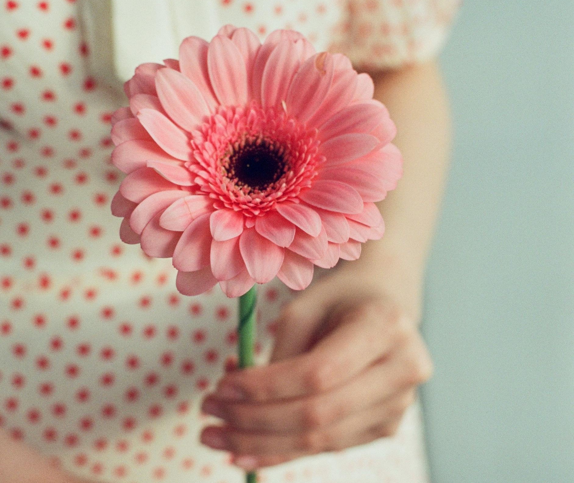 Tu ciclo menstrual explicado